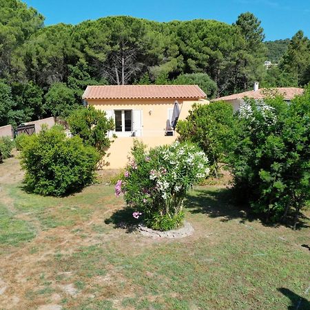 Mini Villa Independante Ideale Et Tres Bien Situee Porto-Vecchio  Eksteriør billede